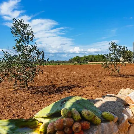 Casa de Campo Masseria Tornesella Don Giuliano
