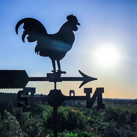 Casa de Campo Masseria Tornesella Don Giuliano