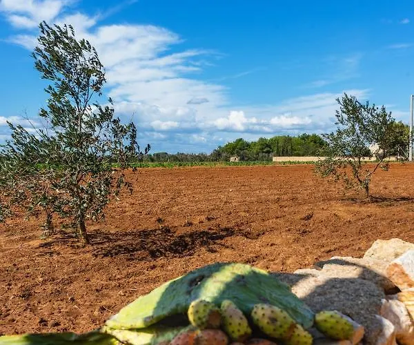 בית כפרי Masseria Tornesella Don Giuliano