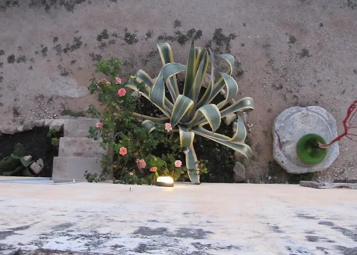 Masseria Tornesella Don Giuliano פראביטה