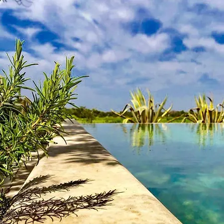 Masseria Tornesella Don Giuliano *