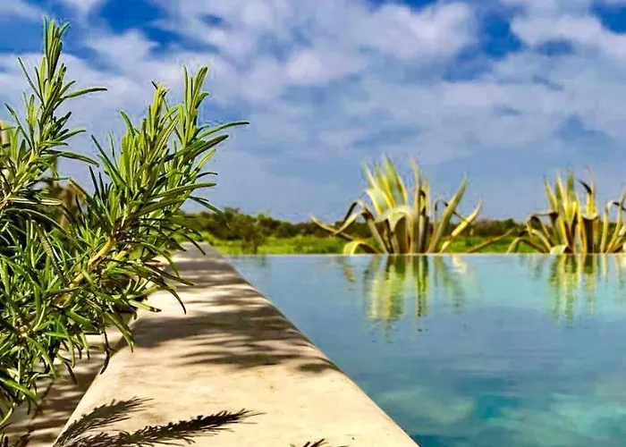 Masseria Tornesella Don Giuliano *